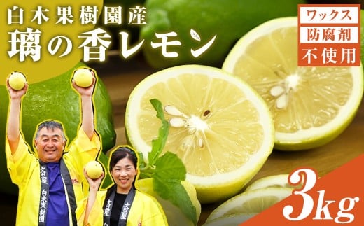 レモン 約3kg 8〜15個 璃の香レモン 果物 くだもの 柑橘 フルーツ れもん お取り寄せ 産地直送 おいしい 美味しい 白木果樹園 常温 配送 高知県 高知 土佐市高知県土佐市13000果物・フルーツみ