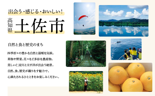 A-74 選べるピンク珊瑚(深海珊瑚)ピアス D 丸玉ピアス チタンキャッチタイプ高知県土佐市17000衣類・装飾品・工芸品アクセサリー