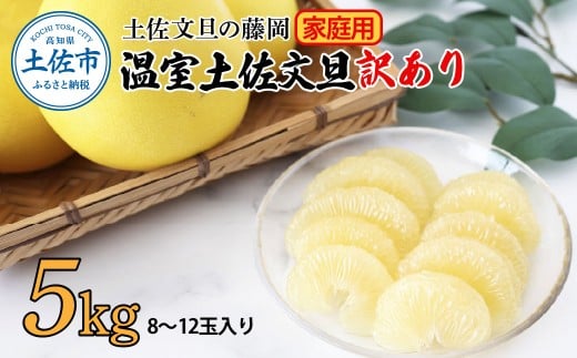 <土佐文旦の藤岡>訳あり 温室土佐文旦 家庭用 5kg (8~12玉)文旦 ぶんたん ブンタン 土佐文旦 ハウス栽培 甘い 柑橘 フルーツ 果物 ご当地 産地直送 お取り寄せ 5キロ 自分用 土佐 高知高知