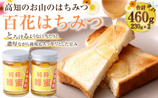 昔ながらの製法の土佐はちみつ2本セット 百花はちみつ230g×2本 ハチミツ 蜂蜜 ハニー 天然 天然はちみつ 天然蜂蜜 産地直送高知県香美市12000鍋セット・総菜・加工食品ジャム・はちみつ