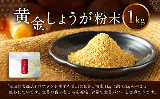 黄金しょうが粉末 1kg高知県香美市29000野菜・きのこその他 野菜
