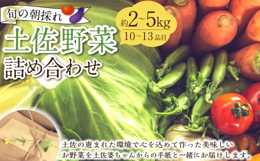 旬の朝採れ土佐野菜詰め合わせ(10〜13品目)詰め合わせ 野菜セット 野菜 ギフト やさいセット お取り寄せグルメ 家庭用 旬野菜 新鮮 特産 農薬不要 食材高知県香美市16000野菜・きのこその