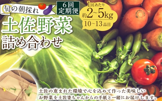 【定期便6回】旬の朝採れ土佐野菜詰め合わせ(10〜13品目)詰め合わせ 野菜セット 野菜 ギフト やさいセット お取り寄せグルメ 家庭用 旬野菜 新鮮 特産 農薬不要 食材高知県香美市87000野菜