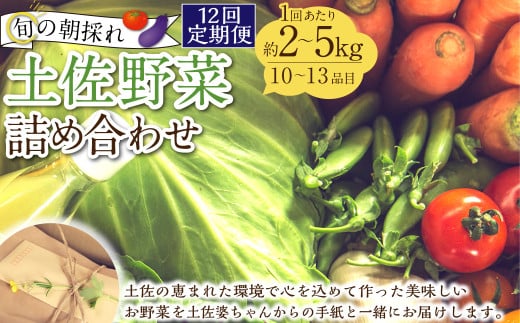 【定期便12回】旬の朝採れ土佐野菜詰め合わせ(10〜13品目)詰め合わせ 野菜セット 野菜 ギフト やさいセット お取り寄せグルメ 家庭用 旬野菜 新鮮 特産 農薬不要 食材高知県香美市173000野