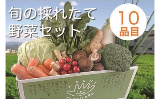 旬の採れたて新鮮野菜セット10品目「新鮮だから美味しい!」高知県香美市16000野菜・きのこその他 野菜