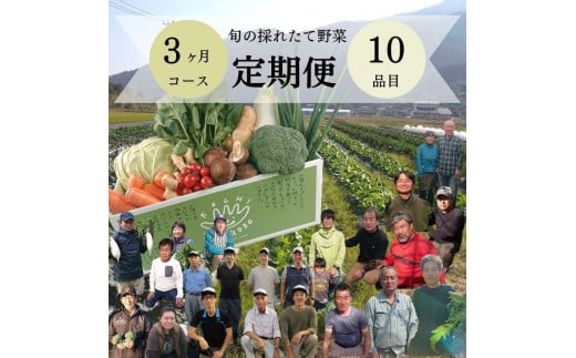『定期便』野菜詰め合わせセット3ヵ月高知県香美市44000野菜・きのこその他 野菜