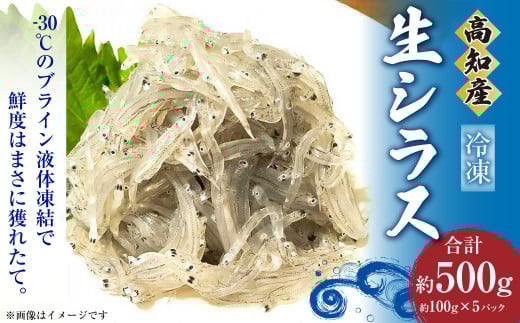 高知産「生シラス」イワシ稚魚 約100gx5パック(タレ付)高知県香美市17000魚介・海産物その他 魚介・海産物