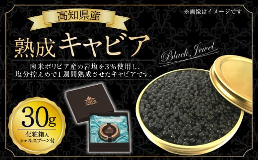 mY n LrA 30g (ϔ) VFXv[t Black Jewelms44000ECYqȆ