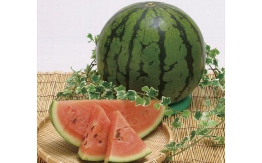 103001 R_̃XCJ Pʁystz 킪Ȃ Iׂ P Q  t[c Yn n x s[^[ Â  Z /m ޔmޔ15000ʕEt