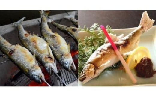 107006 奈半利川の友釣り天然アユ3尾と奈半利川の天然アメゴ2尾セット(冷凍)高知県奈半利町15000魚介・海産物鮮魚
