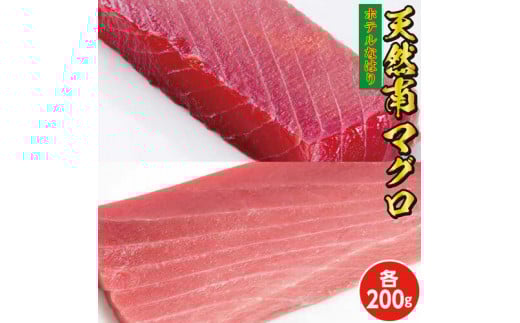 104007 天然南マグロ 中トロ200g赤身200g高知県奈半利町25000魚介・海産物鮮魚