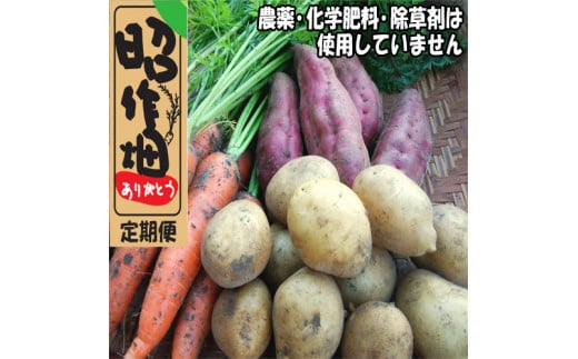 106901 昭作畑 定期便高知県奈半利町30000野菜・きのこその他 野菜