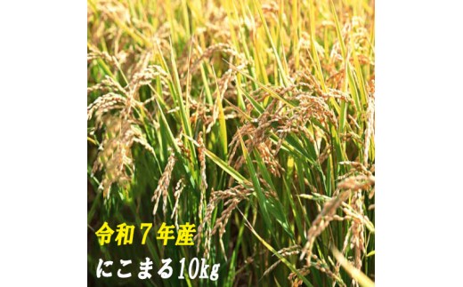 1120004-7 【令和7年産】 にこまる10kg (5kg×2袋) 数量限定 米 10kg にこまる 白米 精米 お米 美味しい おこめ コメ ニコマル ご飯 農家 /高知県 奈半利町高知県奈半利町30000米・パン白米