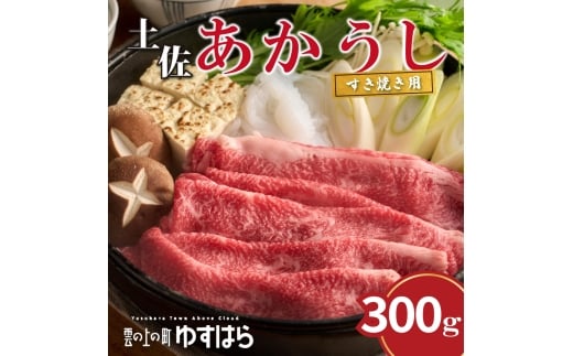 lJXgňy Ăp 300g@ a Ԗ mYm11000