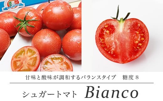 【先行予約・2026年1月】シュガートマト ビアンコ08 糖度8度以上 1kg 高知県産 フルーツトマト 甘い 高糖度 JA 日高村 ギフト高知県日高村11000野菜・きのこトマト