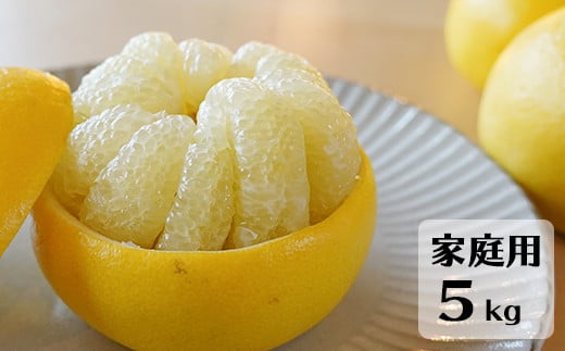 【先行予約・2026年1月】土佐文旦 家庭用 5kg 数量限定 高知県産 文旦 路地 農家直送 訳あり 早出し高知県日高村11000果物・フルーツみかん・柑橘類