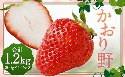 いちご 「かおり野」プレミアム 300g×4パック 約1.2kg 1箱【2025年12月下旬から2026年3月下旬まで発送予定】 苺 イチゴ ベリー 果物 フルーツ デザート おやつ お取り寄せ福岡県筑後市14800果物・