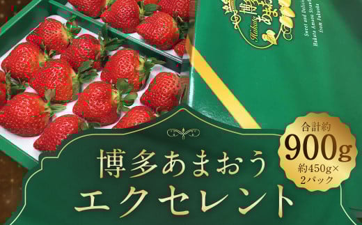 【期間限定】博多 あまおう いちご エクセレント 約450g×2パック 合計約900g【2026年1月下旬〜2月下旬順次発送予定】福岡県筑後市21000果物・フルーツいちご
