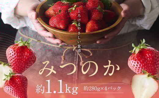 希少な地元産いちご 『みつのか』 280g×4パック 計1.12kg ランキング1位獲得 希少品種 【2025年12月下旬から2026年3月下旬発送予定】福岡県筑後市22000果物・フルーツいちご