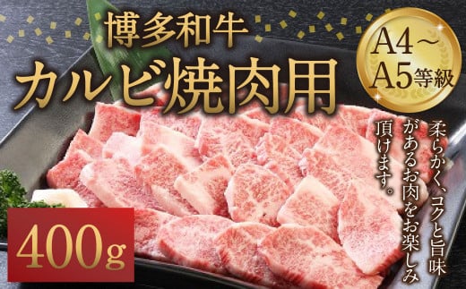 a A4`A5 Jr ēp 400g a ē }s19000
