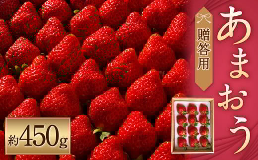 化粧箱入り 特別栽培 の 濃厚 完熟 あまおう 約450g 1パック 【2026年1月上旬〜3月下旬まで発送予定】 いちご 苺 果物 フルーツ福岡県筑後市15000果物・フルーツいちご