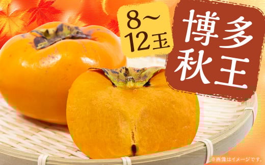 博多 秋王 8〜12玉 【2025年10月上旬から11月上旬発送予定】 柿 甘柿 果物 フルーツ お取り寄せ 福岡県産 九州福岡県筑後市19000果物・フルーツその他 果物・フルーツ