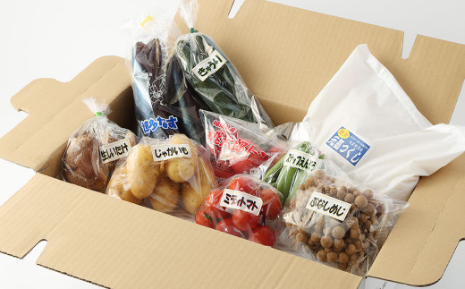 【 3か月 定期便 】 産直 野菜 詰め合わせ BOX 福岡県産 ( お野菜 と 米 の セット )福岡県筑後市35000野菜・きのこその他 野菜