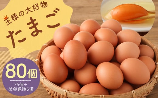 王様の大好物 たまご 80個 ( 75個+破卵保障5個 ) 福岡県産 国産 にわとり 卵かけご飯 ゆでたまご福岡県筑後市16000卵・乳製品卵(鶏、烏骨鶏等)