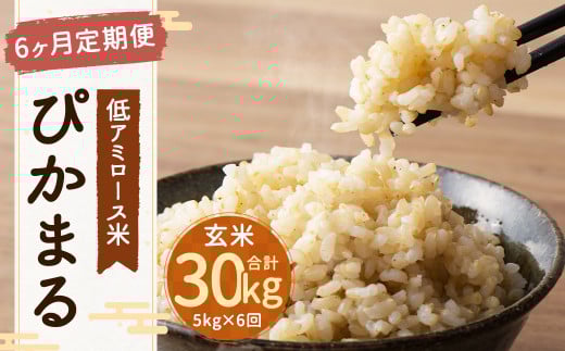 yVĐs\zy6ցz A~[X ҂܂ 5kg  v30kg Pꌴ Y y2025N11菇Jn\z}s66000āEpāEGāEāE