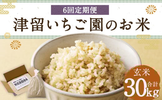 【6回定期便】津留いちご園のお米 玄米 農薬・化学肥料不使用(栽培期間中) 約5kg×6回 合計約30kg【2025年11月上旬発送開始】 ご飯 定期便 福岡県産 国産福岡県筑後市82000米・パン玄米・雑穀