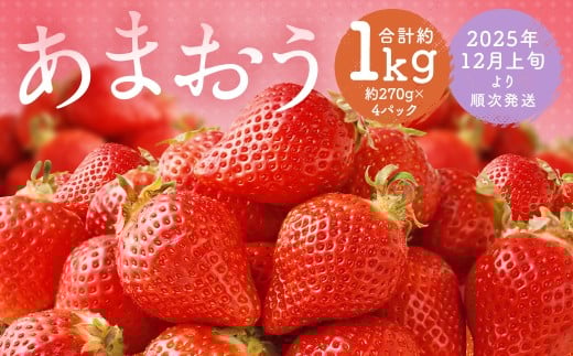 福岡県産 あまおう 合計約1,080g 約270g×4パック 【2025年12月上旬〜12月下旬迄発送】福岡県筑後市18800果物・フルーツいちご
