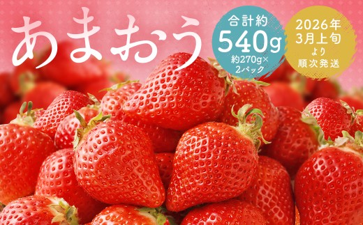 福岡県産 あまおう 合計約540g 約270g×2パック 【2026年3月上旬〜3月下旬迄発送】福岡県筑後市9900果物・フルーツいちご