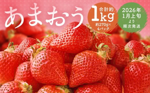 福岡県産 あまおう 合計約1,080g 約270g×4パック 【2026年1月上旬〜1月下旬迄発送】福岡県筑後市17700果物・フルーツいちご