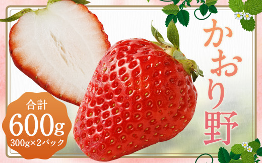 uvv~A 300g×2pbN 1 600g y2025N12{2026N3{\z  C`S x[ ʕ t[c fU[g  񂹕}s9600ʕEt[