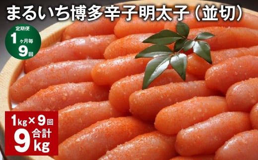 y19ցz ܂邢hqqi؁j v9kgi1kg?9j hqq q}s110000ECYqȆ