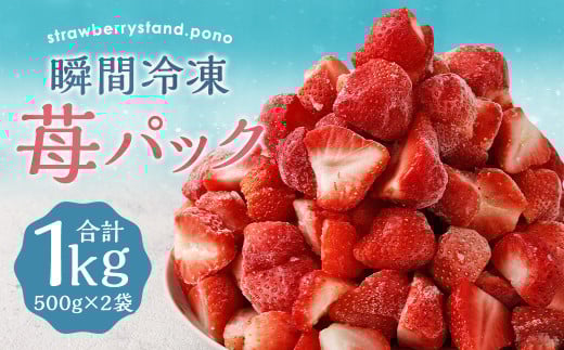 瞬間冷凍 苺 パック 1kg 500g×2袋 / あまおう 苺 果物 フルーツ 冷凍福岡県筑後市10000果物・フルーツいちご