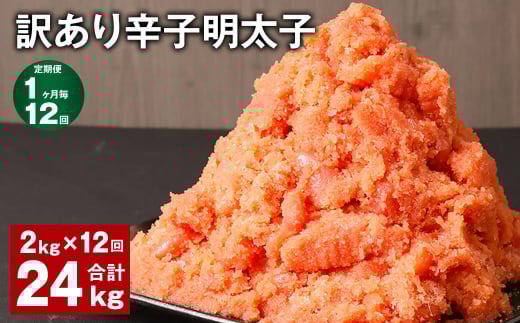 y112ցz󂠂 hqq v24kgi2kg?12j q ߂񂽂 ؎q oq}s157000ECYqȆ