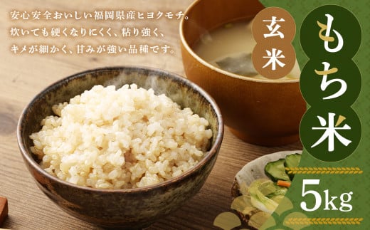 福岡県産 栽培期間中 農薬・肥料不使用 もち米【玄米】5kg 1袋 / 餅米 もち 米 お米 おこわ 赤飯 福岡県 筑後市福岡県筑後市15000米・パン玄米・雑穀米・もち米・餅