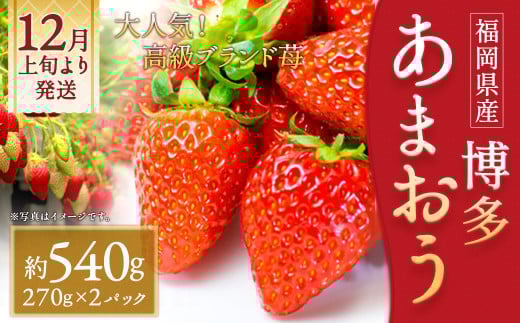 いちご「あまおう」 約270g×2パック 計約540g 苺 イチゴ 果物 フルーツ 【2025年12月上旬〜2026年1月下旬順次発送予定】福岡県筑後市10000果物・フルーツいちご
