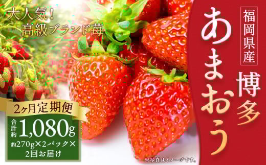 【2回定期便】いちご「あまおう」 約270g×2パック 計約1.08kg 苺 イチゴ 果物 フルーツ 【2026年1月上旬発送順次開始予定】福岡県筑後市18000果物・フルーツいちご
