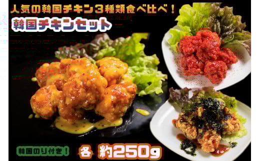 AS-008_人気の韓国チキン3種類食べ比べ!韓国チキンセット福岡県行橋市10000肉鶏肉