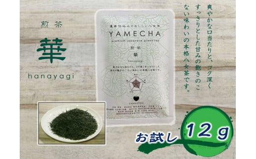 CE-071_【八女茶】原田茶園 お試し 煎茶 華 12g福岡県行橋市2000お茶・飲料お茶