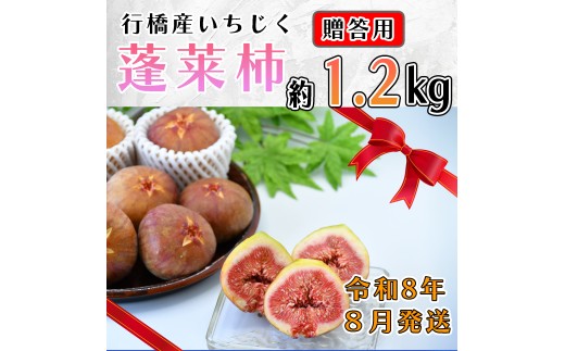 AO-025_y\EߘaWNĔzsYiH`jp@1ss13000ʕEt[c̑ ʕEt[c