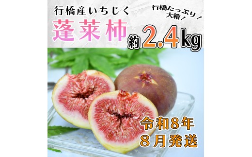 AO-024_y\EߘaWNĔzsYiH`j2.4kg i  1.2kg ×2jss20000ʕEt[c̑ ʕEt[c