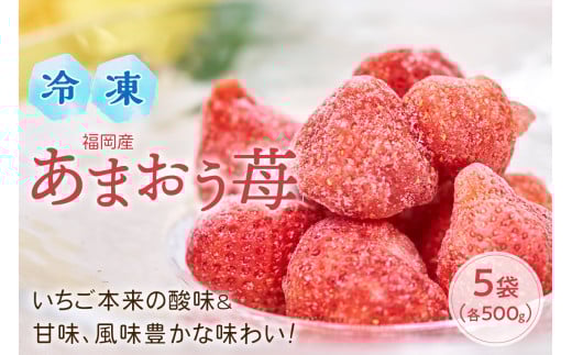 いちご本来の酸味&甘味、風味豊かな味わい!福岡産あまおう苺(冷凍)500g×5袋【011-0040】福岡県中間市27000果物・フルーツいちご