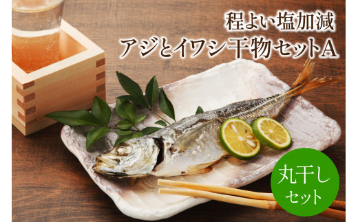 程よい塩加減 アジとイワシ干物セットA【001-0091】福岡県中間市12000魚介・海産物干物