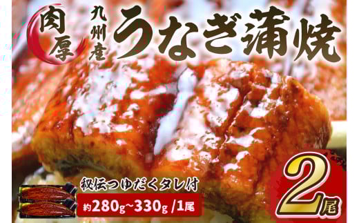 肉厚九州産うなぎ蒲焼2尾つゆだくタレ付 中間老舗鮮魚店秘伝の味【001-0017】福岡県中間市28000魚介・海産物うなぎ