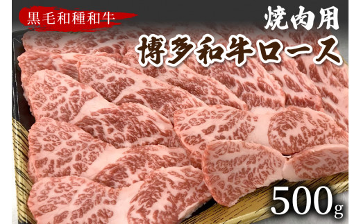 【数量限定】博多和牛ロース焼肉用(500g)【009-0011】福岡県中間市17000肉牛肉