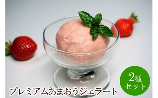 プレミアムあまおうジェラート2種セット【045-0006】福岡県中間市13000菓子・スイーツアイス・ジェラート