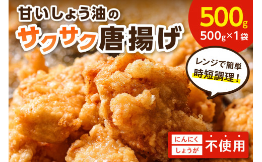 qǂDIÂ傤̃TNTNg500gy030-0004zԎs11000̑ 